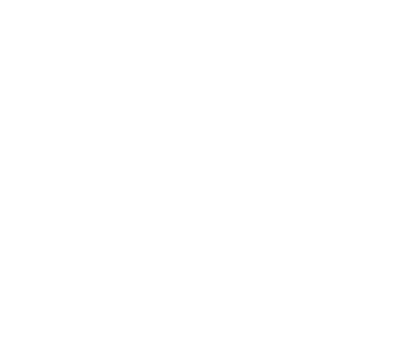 Feria 16 de Julio