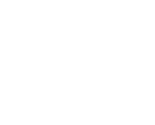 Feria 16 de Julio