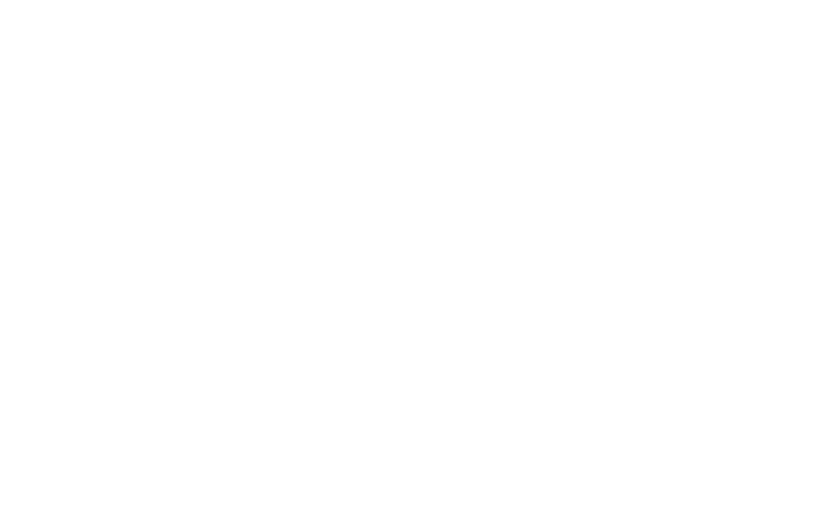 Logo IDAIPLUS